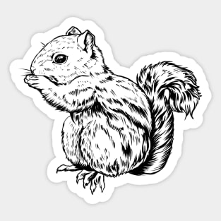 Drawing of a chipmunk Sticker